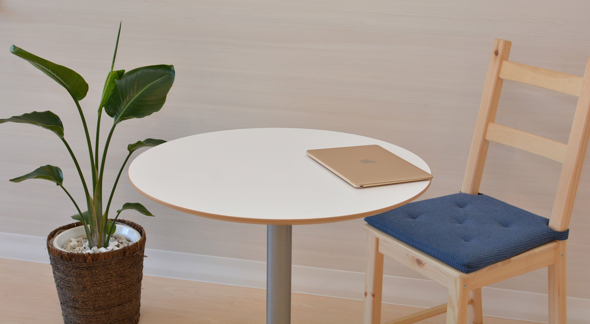 Umorzenie udziałów